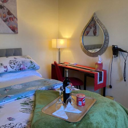Mountroyal Victorian Studio Self Catering Apartment 3 Belfast Bagian luar foto