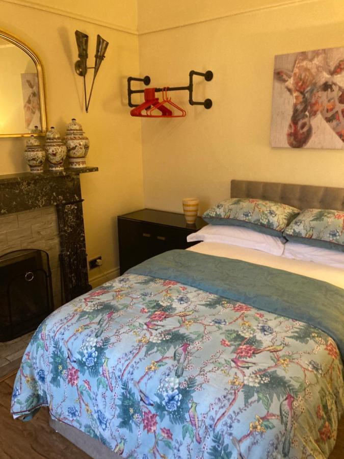 Mountroyal Victorian Studio Self Catering Apartment 3 Belfast Bagian luar foto