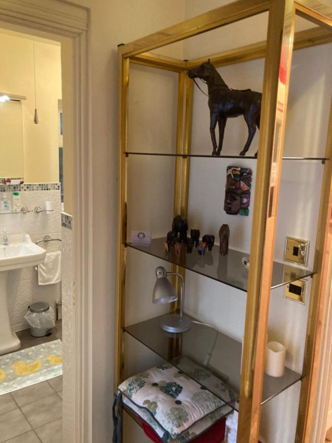 Mountroyal Victorian Studio Self Catering Apartment 3 Belfast Bagian luar foto