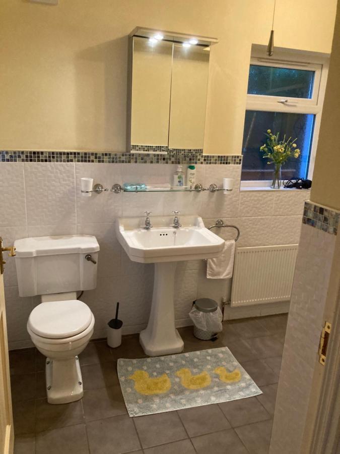 Mountroyal Victorian Studio Self Catering Apartment 3 Belfast Bagian luar foto