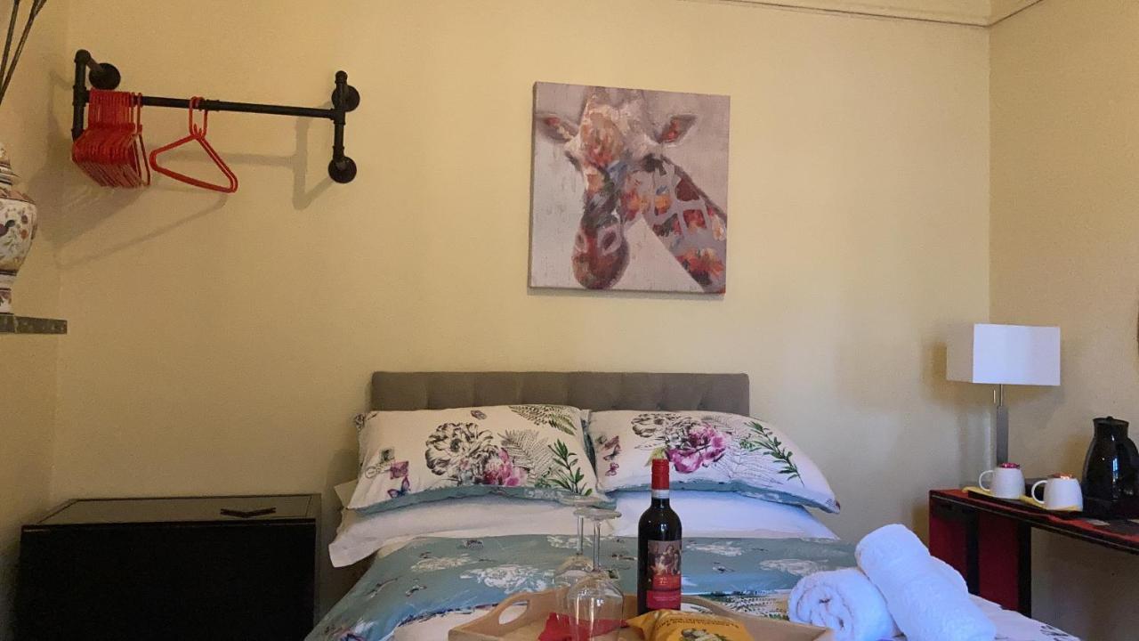 Mountroyal Victorian Studio Self Catering Apartment 3 Belfast Bagian luar foto