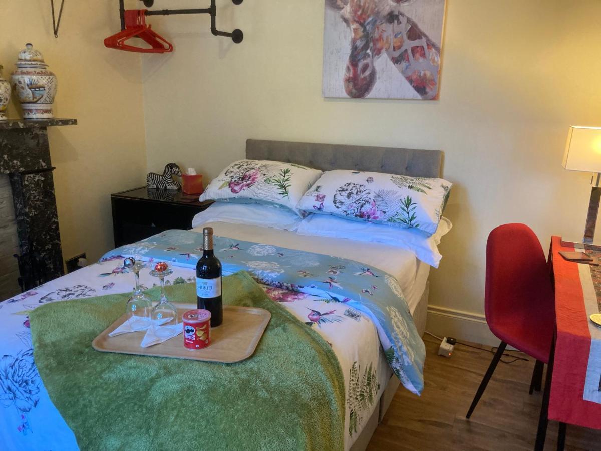 Mountroyal Victorian Studio Self Catering Apartment 3 Belfast Bagian luar foto