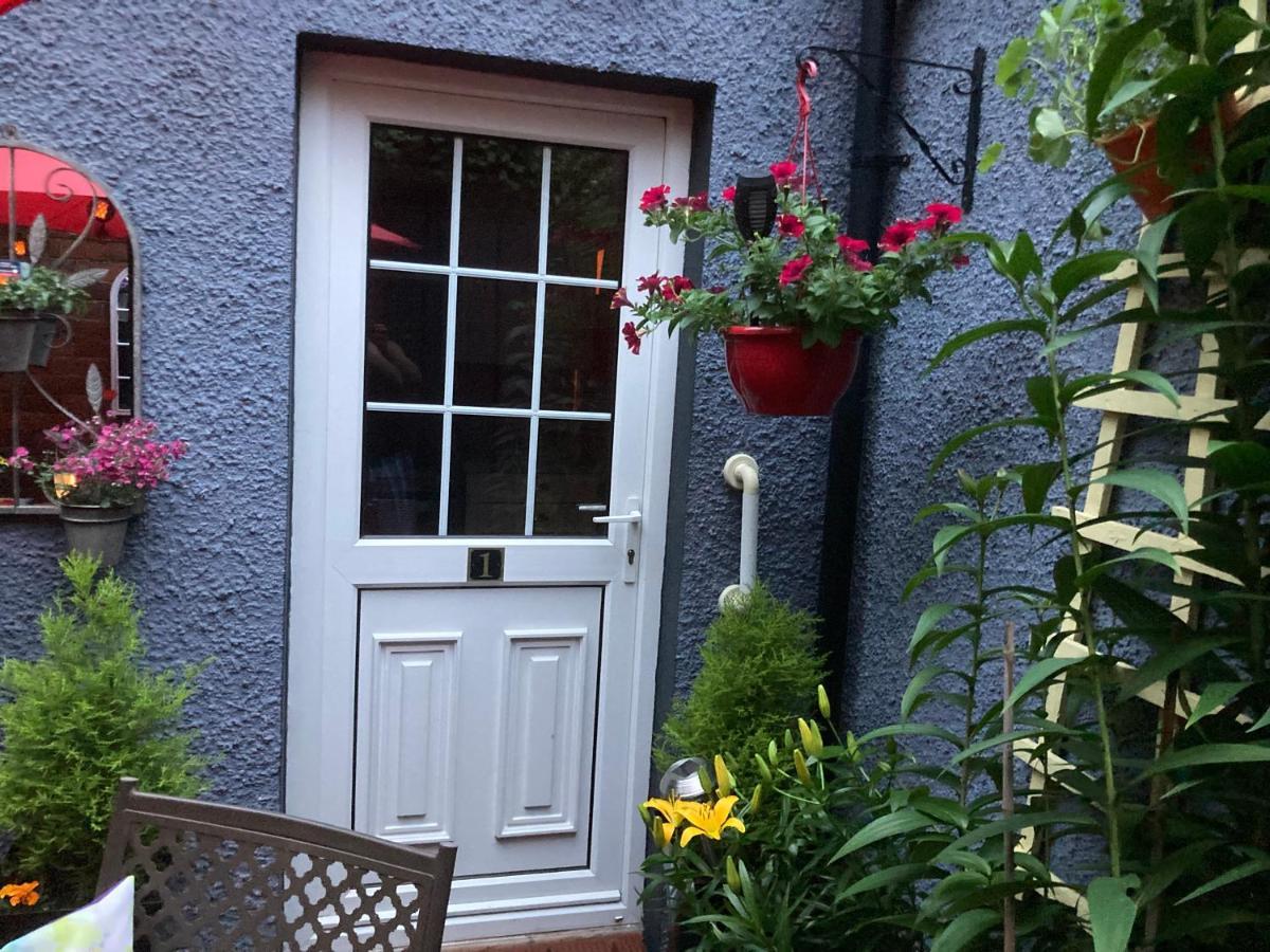 Mountroyal Victorian Studio Self Catering Apartment 3 Belfast Bagian luar foto