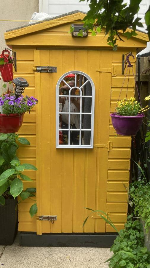 Mountroyal Victorian Studio Self Catering Apartment 3 Belfast Bagian luar foto