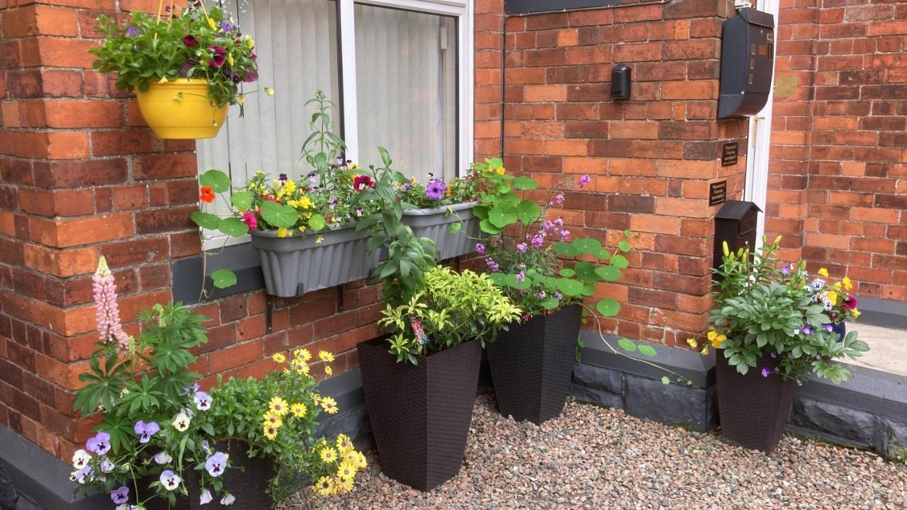 Mountroyal Victorian Studio Self Catering Apartment 3 Belfast Bagian luar foto
