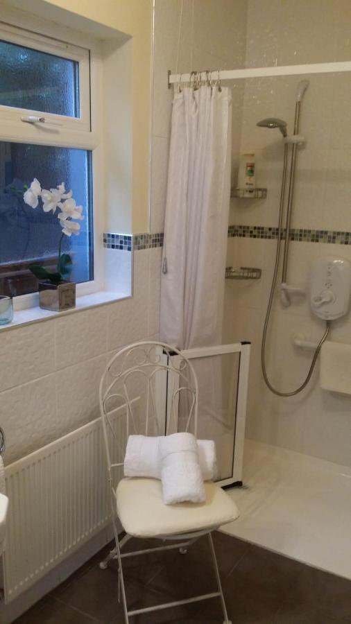 Mountroyal Victorian Studio Self Catering Apartment 3 Belfast Bagian luar foto
